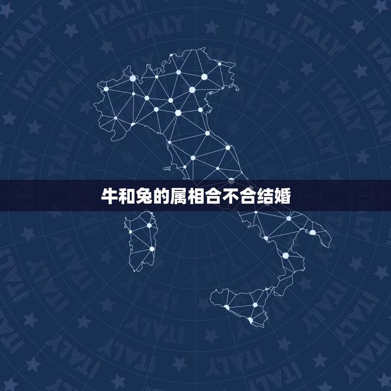 牛和兔的属相合不合结婚(揭开属相配对的)