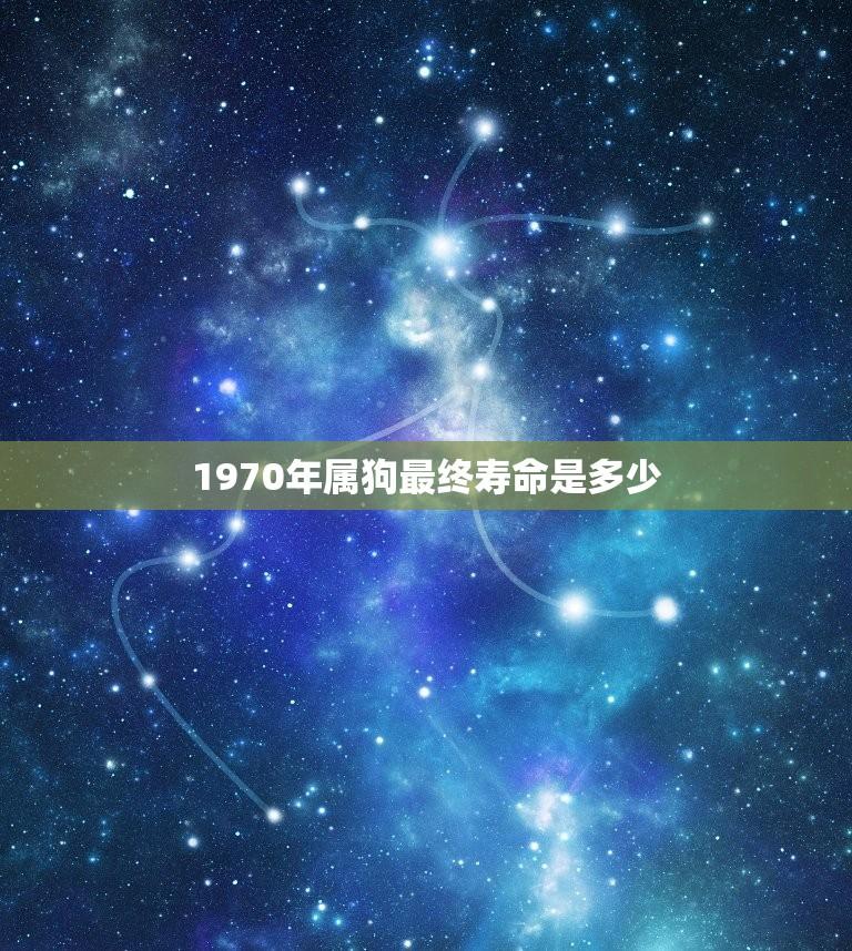 1970年属狗最终寿命是多少(介绍属狗人士的寿命长短)