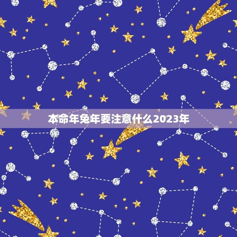 本命年兔年要注意什么2023年(详细介绍兔年运势及吉凶预测)  第1张