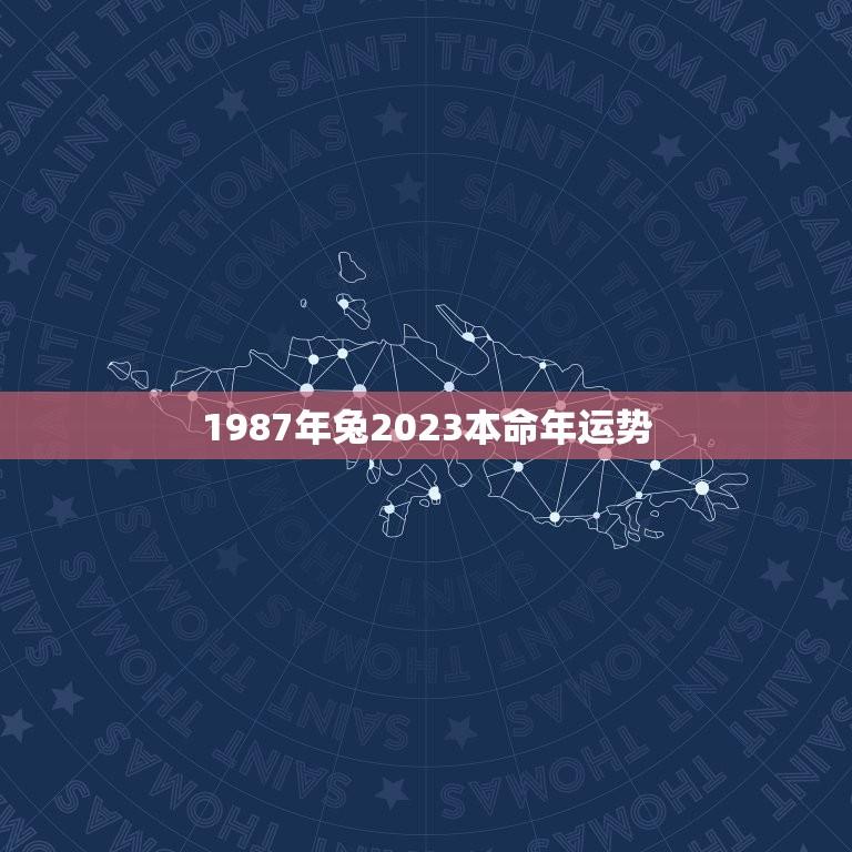 1987年兔2023本命年运势(好运连连财源滚滚)  第1张