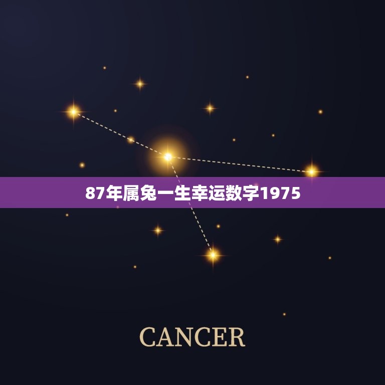 87年属兔一生幸运数字1975(预示着成功的人生之路)