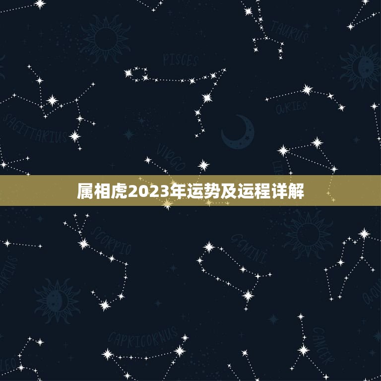 属相虎2023年运势及运程详解(猛虎崛起财运亨通)  第1张
