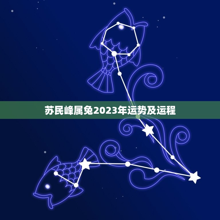 苏民峰属兔2023年运势及运程(兔年好运连连财运事业双丰收)  第1张
