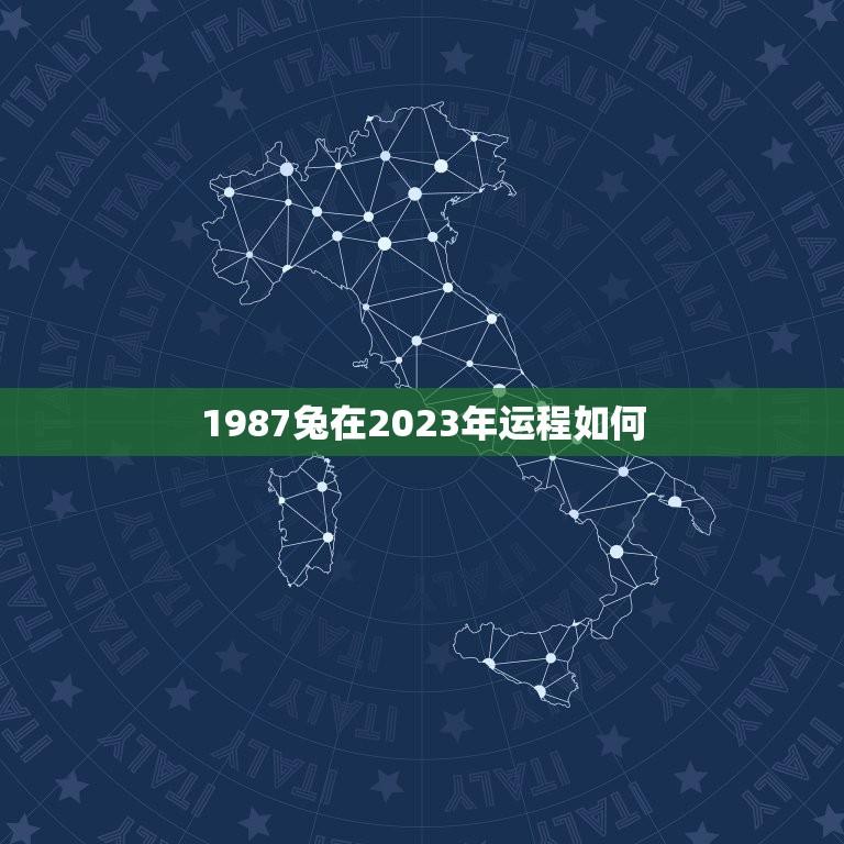 1987兔在2023年运程如何(运势大好财源滚滚来)  第1张