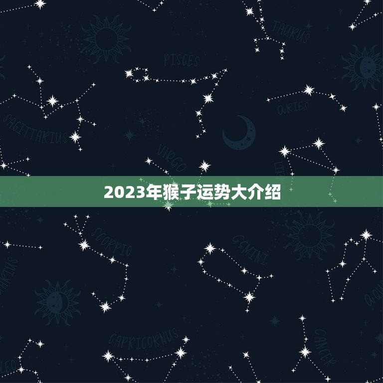 2023年猴子运势大介绍(1968的猴在2023年的运势如何)  第1张