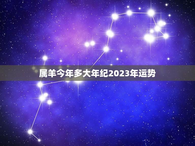 属羊今年多大年纪2023年运势(介绍属羊人的未来如何)  第1张