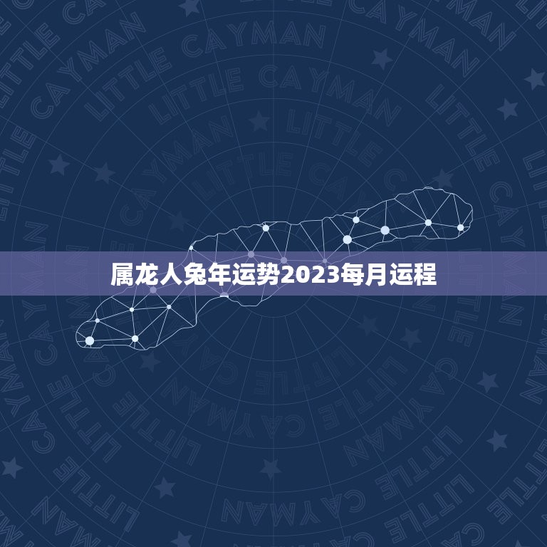 属龙人兔年运势2023每月运程(详解幸运之年步步高升)  第1张