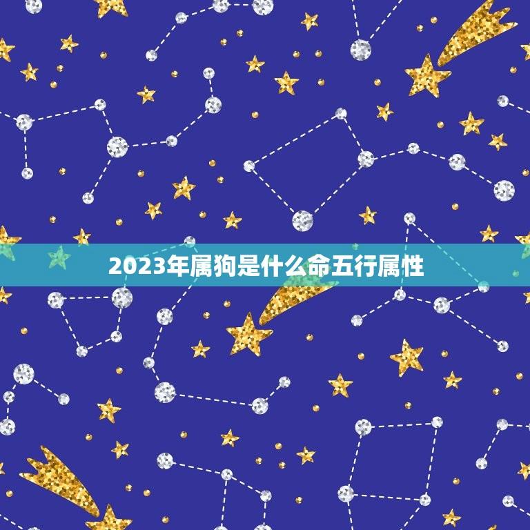 2023年属狗是什么命五行属性(介绍五行属相与命运预测)