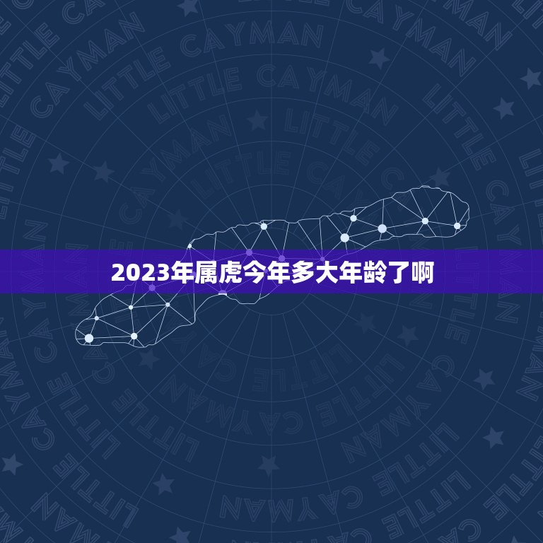 2023年属虎今年多大年龄了啊(属虎人的年龄计算方法详解)  第1张