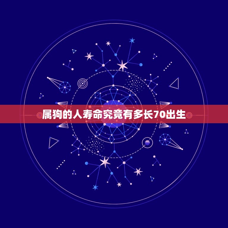 属狗的人寿命究竟有多长70出生(介绍狗年出生者的长寿之谜)