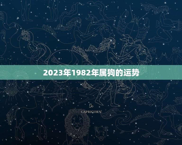 2023年1982年属狗的运势(狗年大展宏图)  第1张