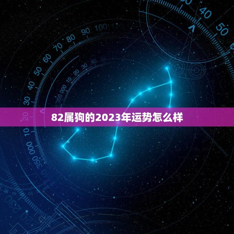 82属狗的2023年运势怎么样(狗年大展宏图财运亨通)  第1张