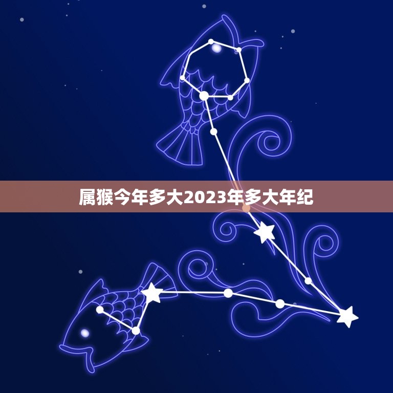 属猴今年多大2023年多大年纪(猴年生肖运势介绍)