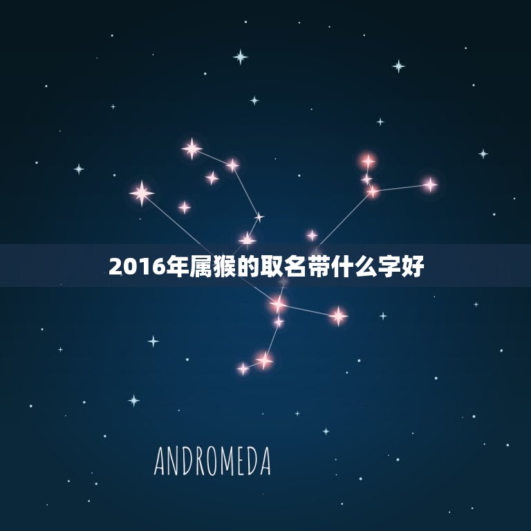 2016年属猴的取名带什么字好(如何为你的小猴子取一个吉祥美名字)  第1张