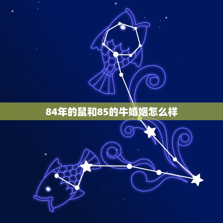 84年的鼠和85的牛婚姻怎么样(幸福美满的方法)  第1张