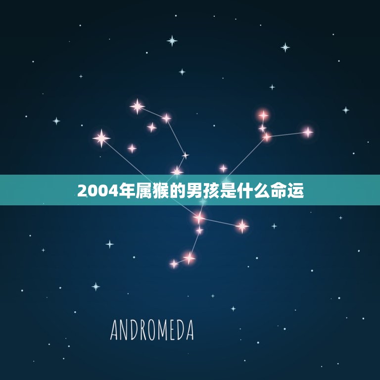 2004年属猴的男孩是什么命运(介绍财富、事业、爱情如何发展)  第1张