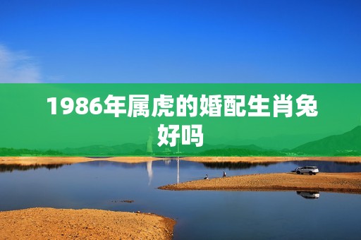 1986年属虎的婚配生肖兔好吗(如何选择婚姻对象)  第1张
