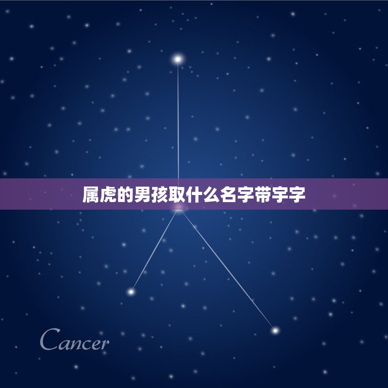 属虎的男孩取什么名字带宇字(如何选择最适合的名字)