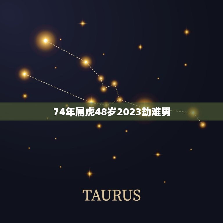 74年属虎48岁2023劫难男(如何应对未来的挑战)  第1张