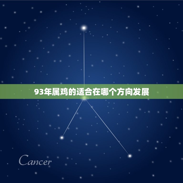 93年属鸡的适合在哪个方向发展(探寻属鸡人的职场出路)  第1张