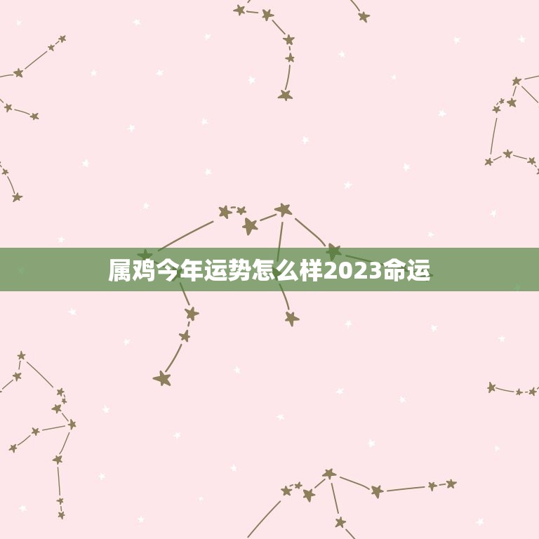 属鸡今年运势怎么样2023命运(介绍财运旺盛事业有成)  第1张