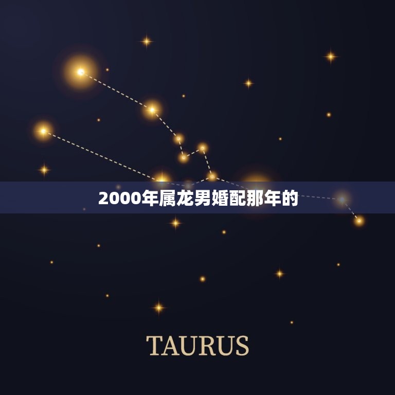 2000年属龙男婚配那年的(幸福婚姻指南)  第1张