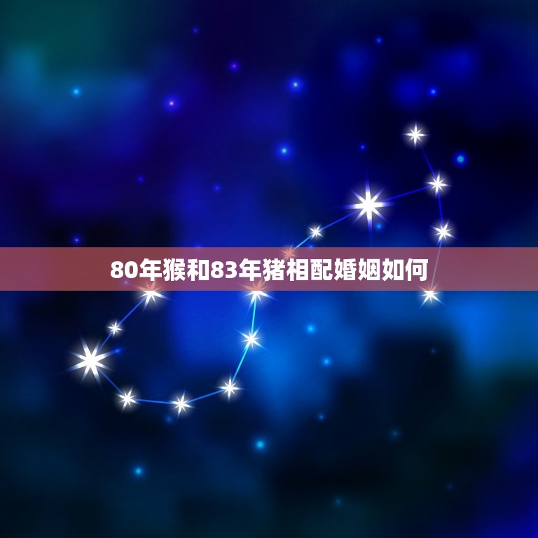 80年猴和83年猪相配婚姻如何(幸福美满的方法)  第1张