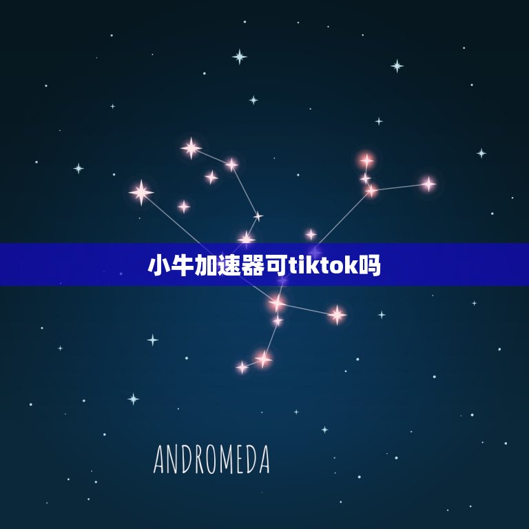 小牛加速器可tiktok吗(解密小牛加速器的神秘功能)