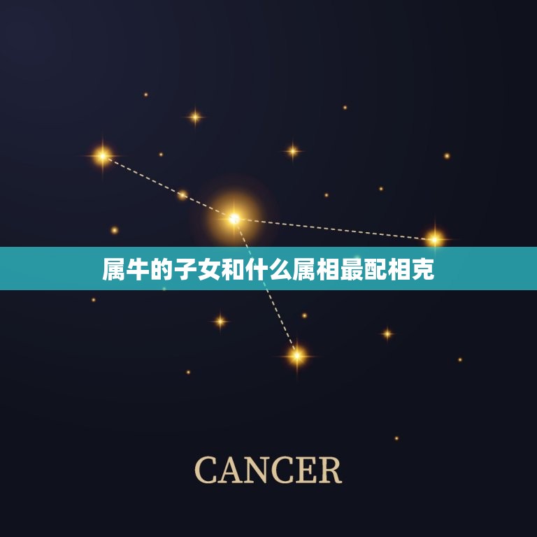 属牛的子女和什么属相最配相克(如何选择配偶)  第1张