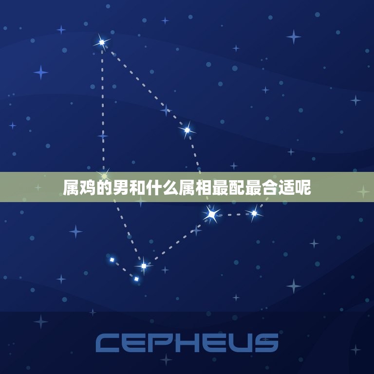 属鸡的男和什么属相最配最合适呢(配对指南)  第1张