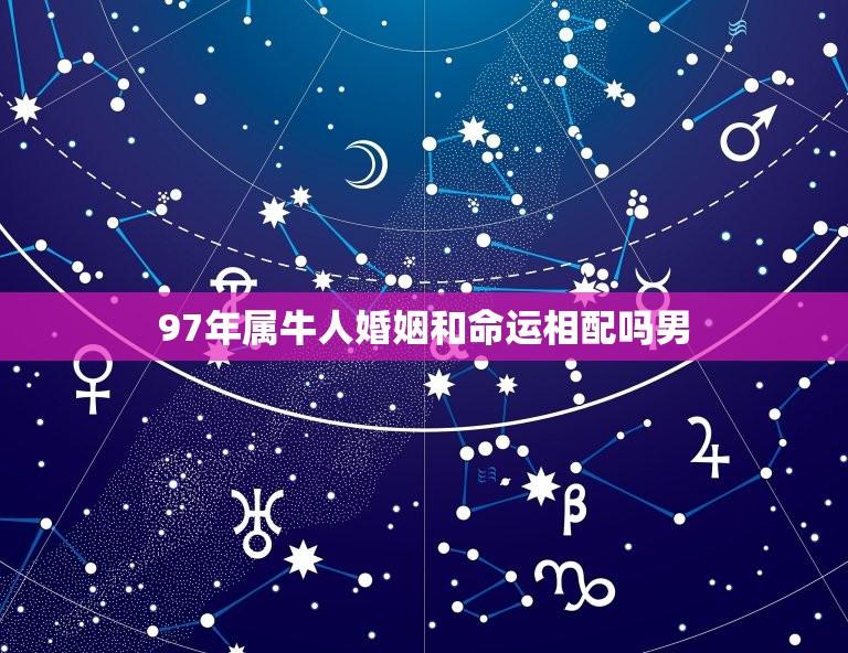 97年属牛人婚姻和命运相配吗男(如何避免婚姻破裂)  第1张