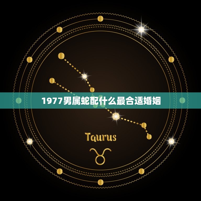 1977男属蛇配什么最合适婚姻(如何选择伴侣)  第1张