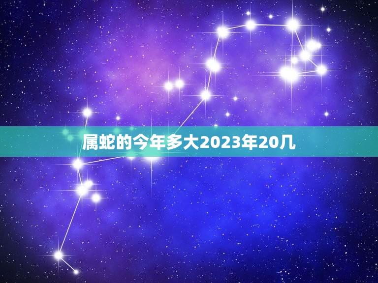 属蛇的今年多大2023年20几(如何算出你的年龄)