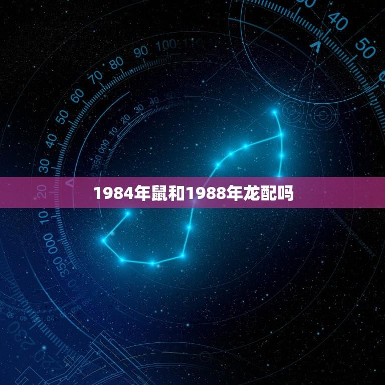 1984年鼠和1988年龙配吗(十二生肖配对介绍)