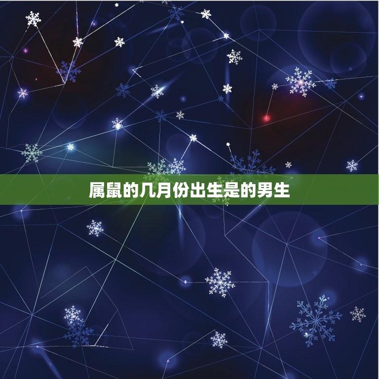 属鼠的几月份出生是的男生(介绍命运还是自我奋斗)  第1张