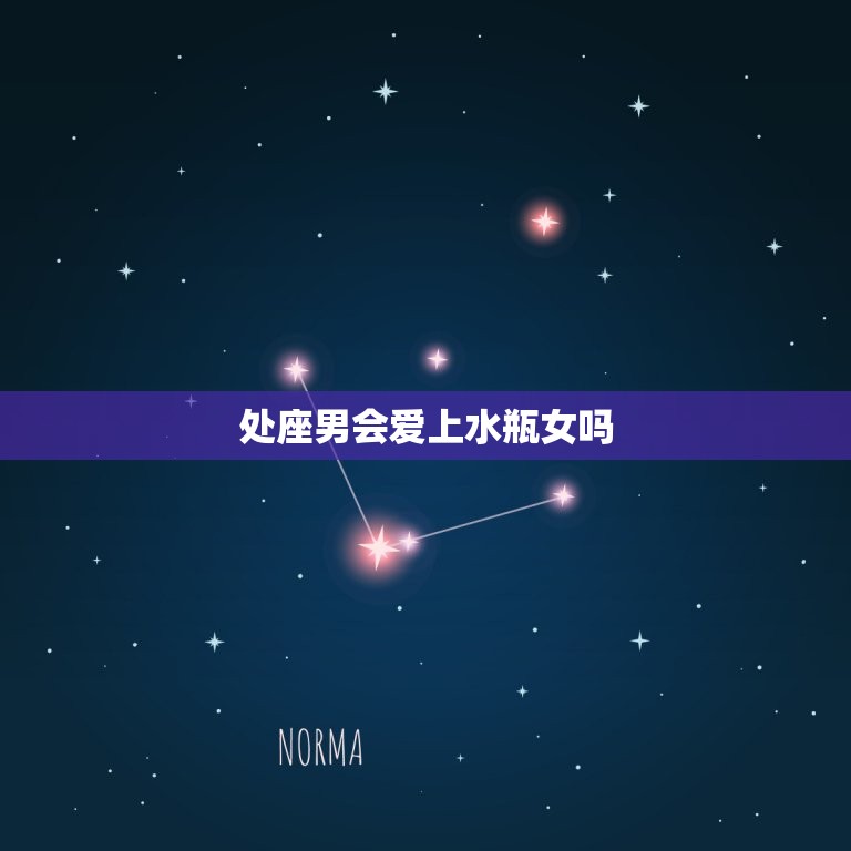 处座男会爱上水瓶女吗(星座配对分析)  第3张