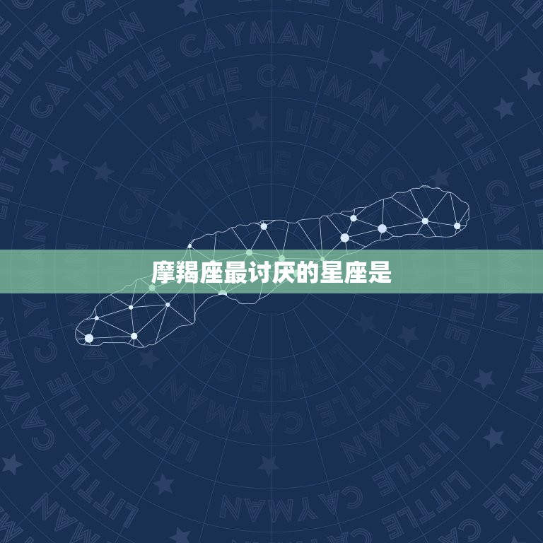 摩羯座最讨厌的星座是(你猜不到的是TA)  第3张