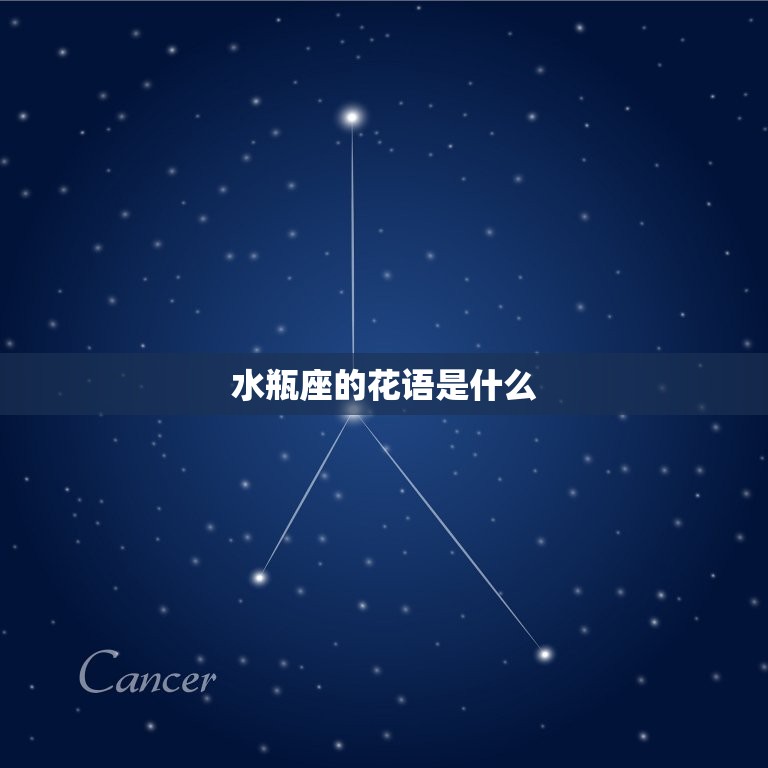 水瓶座的本命花是什么(介绍水瓶座的花语与性格特征)  第2张