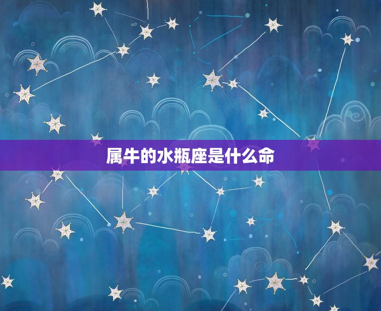 属牛的水瓶座是什么命(介绍性格特点、财运、事业)  第3张