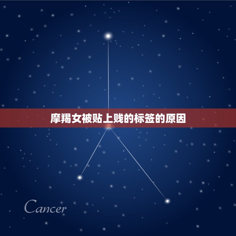 为什么都觉得摩羯女贱(介绍与误解)  第2张