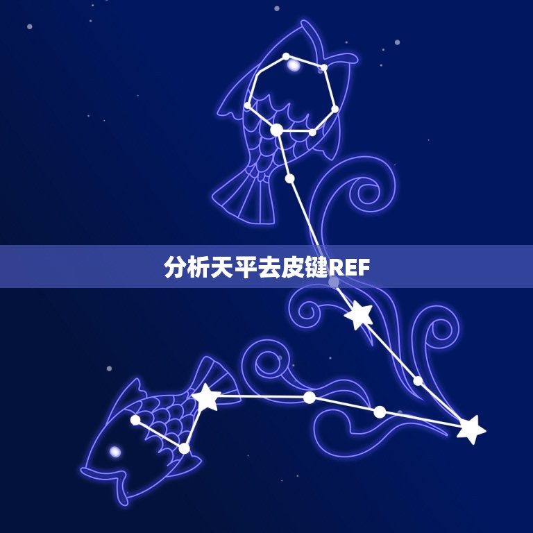 分析天平去皮键REF(如何正确使用)  第3张