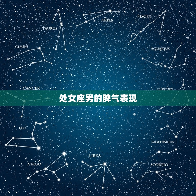 处女座男的性格与脾气(介绍主义者的内心世界)  第2张