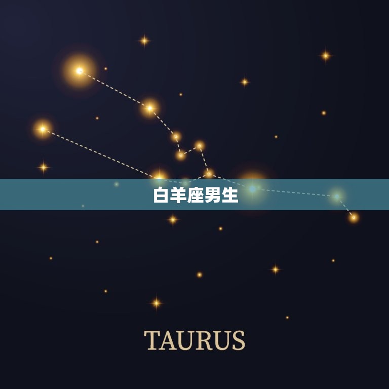 哪个星座男喜欢乖乖女(介绍星座男心理看看你是否符合他们的标准)