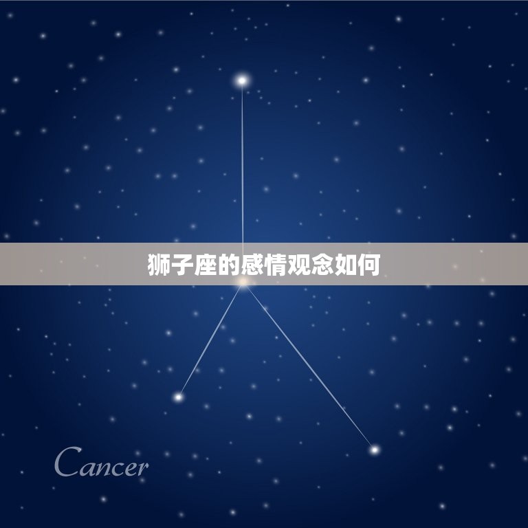 狮子座的感情观念如何(介绍热情、自信、追求的恋爱信条)  第3张