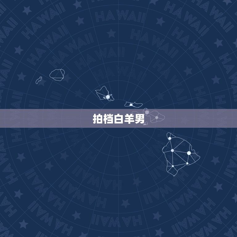 爱狮子女最深的星座男(介绍谁是拍档)  第2张
