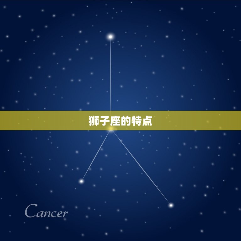 狮子座的项链长什么样(探秘狮子座专属饰品的设计灵感)  第1张