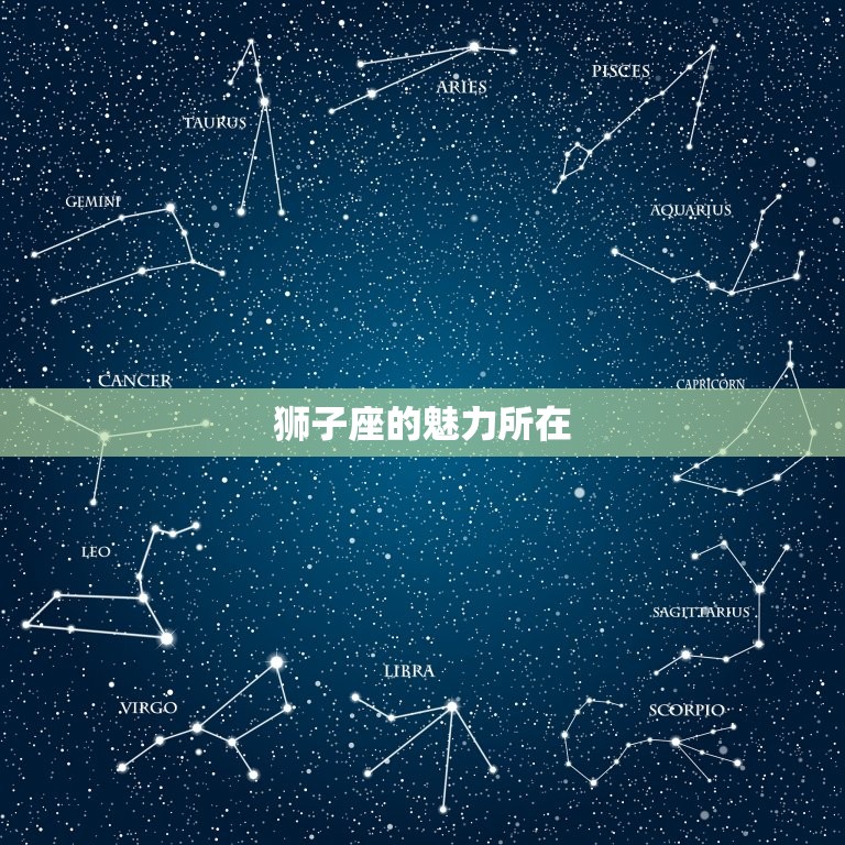 为什么狮子座喜欢(介绍狮子座的独特魅力)  第2张