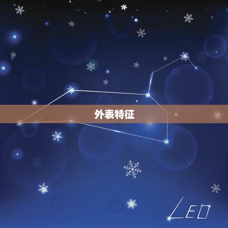 怎么判断是什么双子男(如何识别双子座男生的特征)