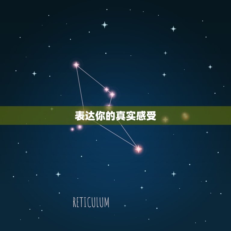 打动双子座女的心的话(如何让她心动)  第2张