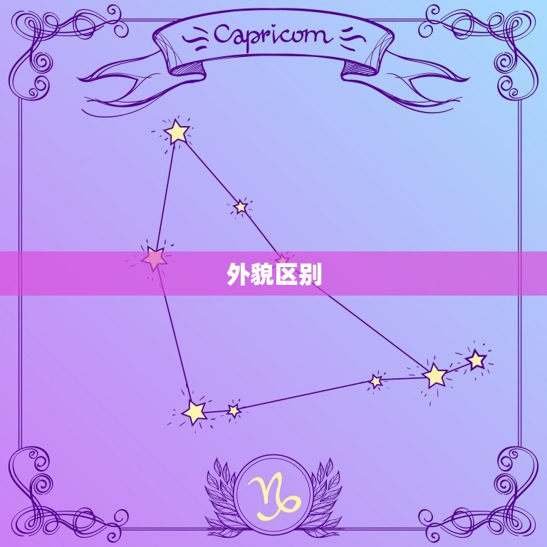 大双子和小双子的区别(介绍性格、外貌、命运)  第2张